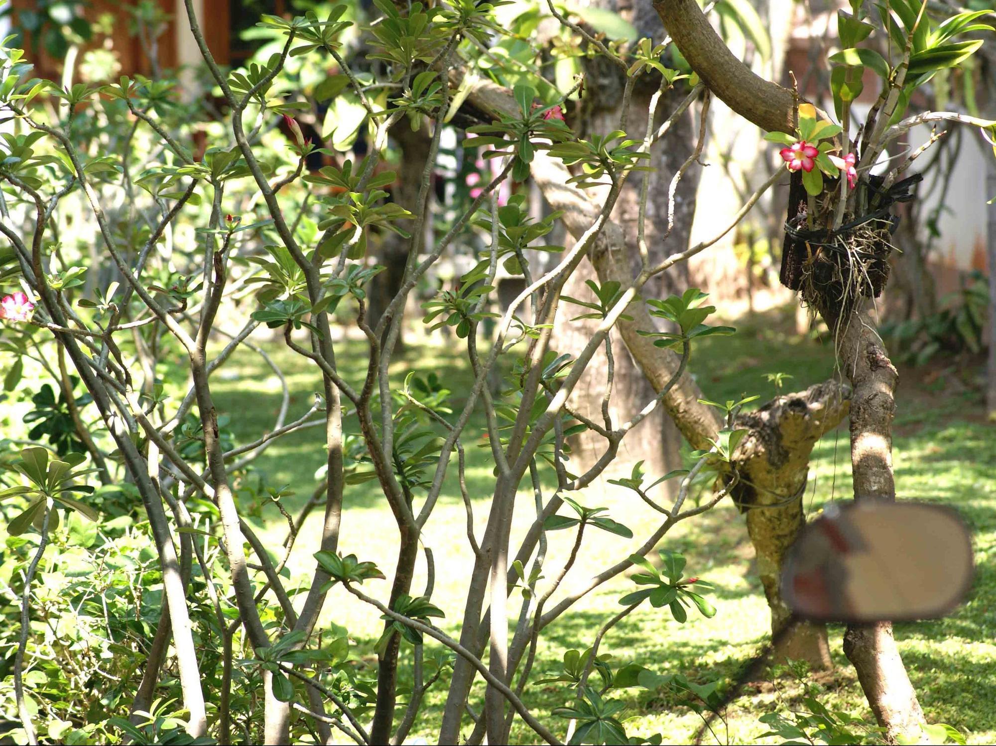 Pondok Hasan Nusa Dua  Exterior photo